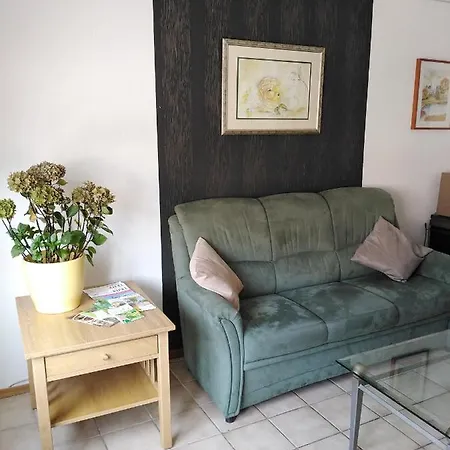 Apartment Suedeifel Badem