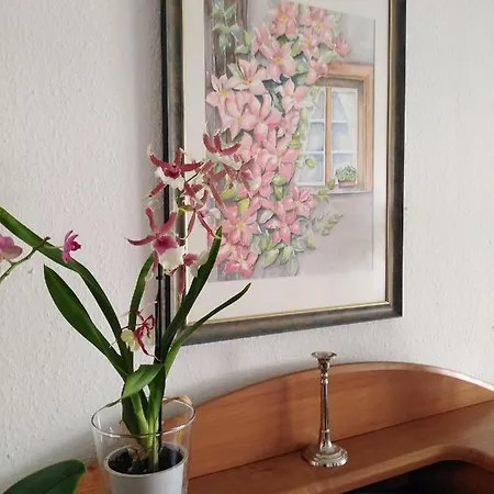 Appartement Suedeifel *