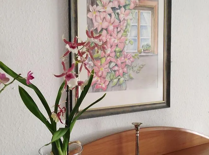 Lejlighed Suedeifel *